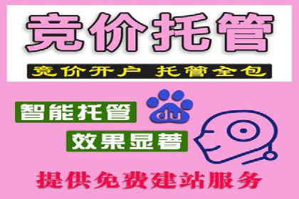 竞价开户攻略：成功案例分享